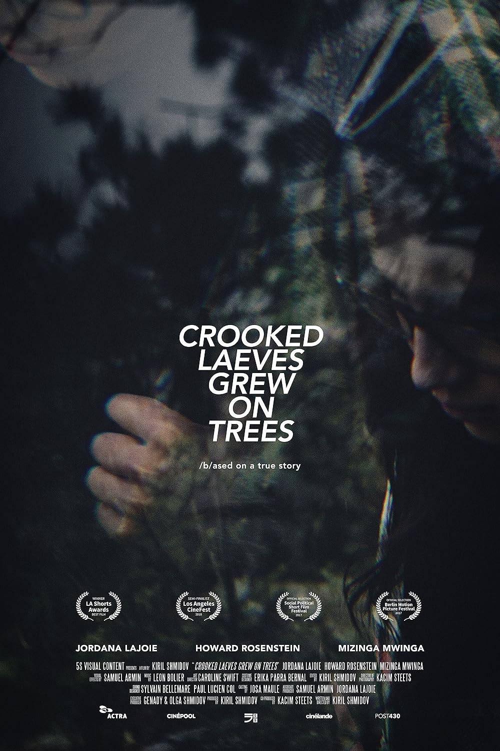 постер Crooked Laeves Grew On Trees